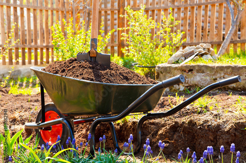 Wheelbarrow full of soil in a garden photo