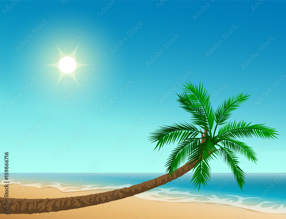 Paradise tropical beach. Inclined palm tree, clear sky, sun, sea and sand