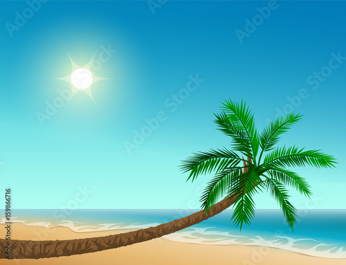 Paradise tropical beach. Inclined palm tree  clear sky  sun  sea and sand