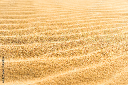 Sand texture on the beach