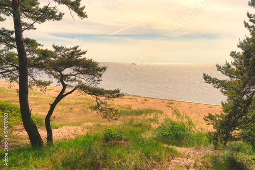 Sand dunes of the Baltic