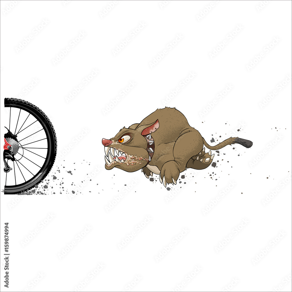Angry dog ​​chasing a cyclist - obrazy, fototapety, plakaty 