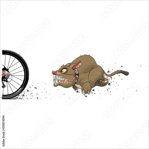 Angry dog ​​chasing a cyclist
