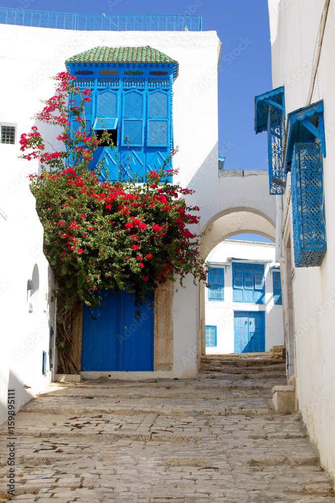 Fototapeta premium sidi bou saïd