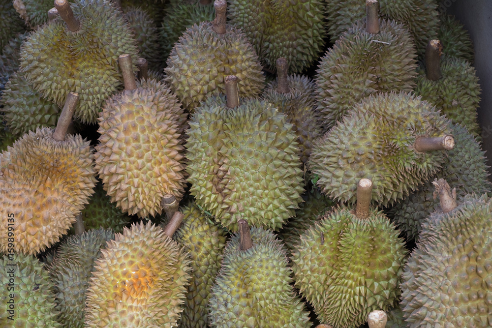 Durian fruit Durian fruit