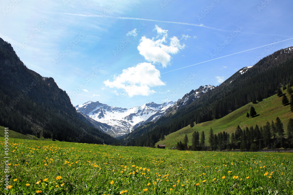Fototapeta premium Landscape in Lichtenstein