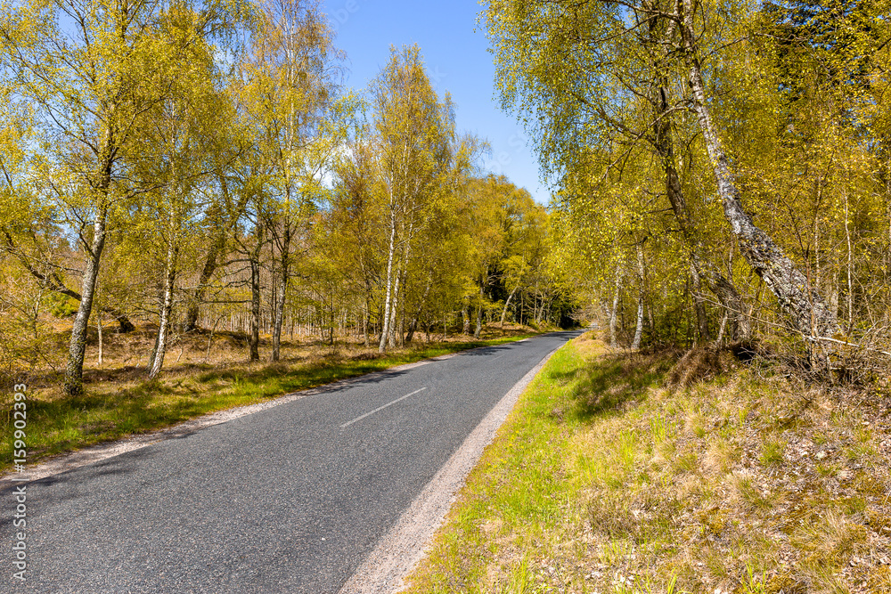 Road to Tversted Stock mill