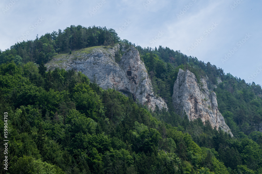 Dramatic cliffs in a mountain gorge