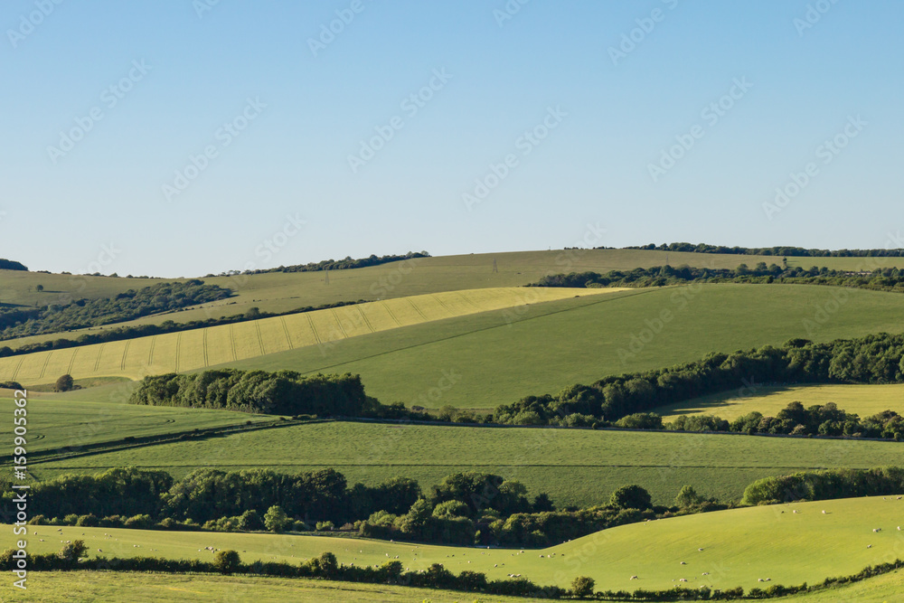 Fields in the South Downs