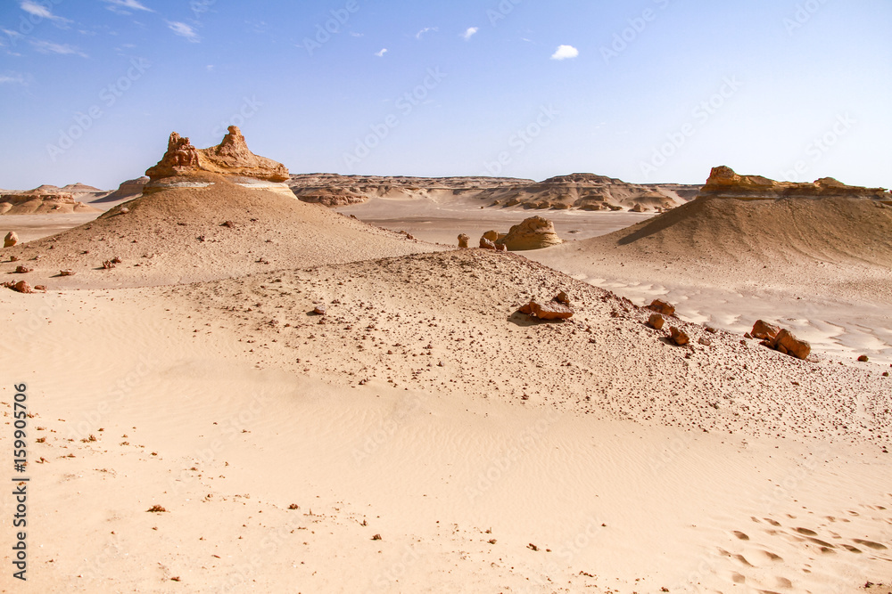 A view of Whale fossil of Wadi El Hitan ( Whale Valley), in the Western Desert of Egypt A view of Whale fossil of Wadi El Hitan ( Whale Valley), in the Western Desert of Egypt