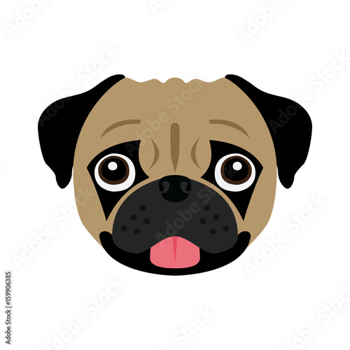 Pug head vector illustration