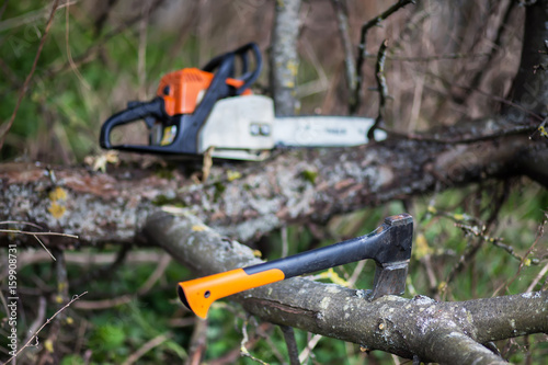 An axe and chainsaw are on the tree