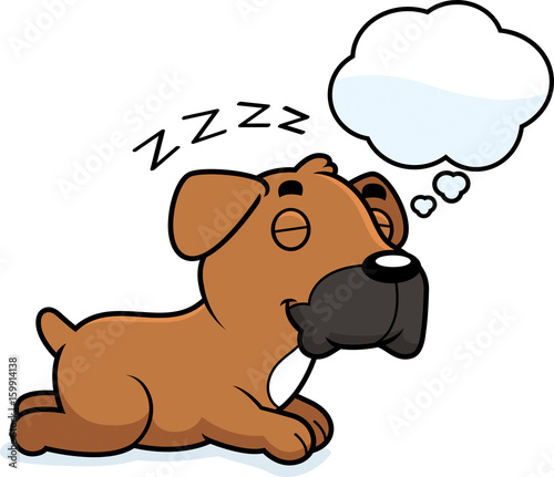 Cartoon Boxer Dreaming