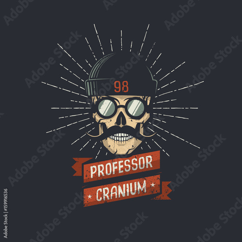 Stylish skull wearing hat, glasses, and mustache with ribbon and professor cranium words. Retro hipster emblem. Vector illustration.
Worn texture on a separate layer and can be easily disabled.