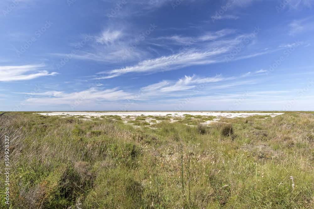 Typische Landschaft in der südlichen Camargue, Südfrankreich Typische Landschaft in der südlichen Camargue, Südfrankreich