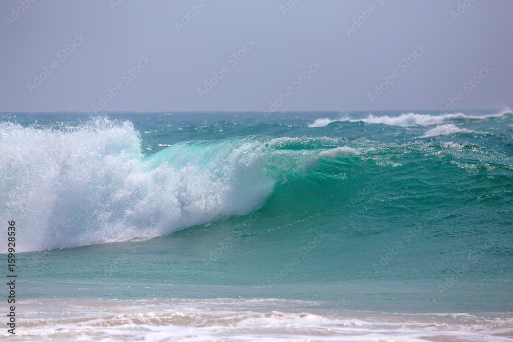 Beautiful sea wave