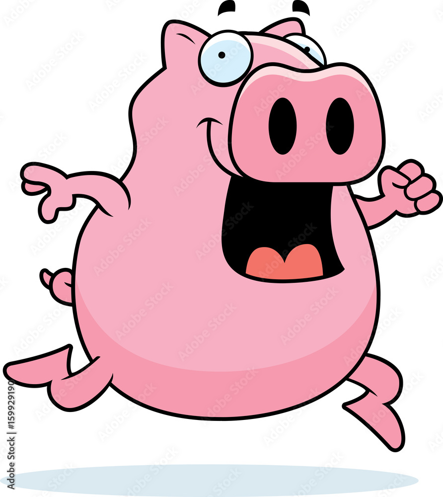 Obraz premium Pig Running