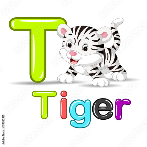 Fototapeta Naklejka Na Ścianę i Meble -  cute baby white tiger