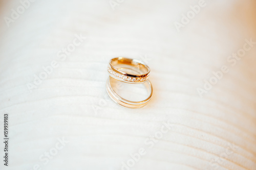 gold wedding rings on a white background