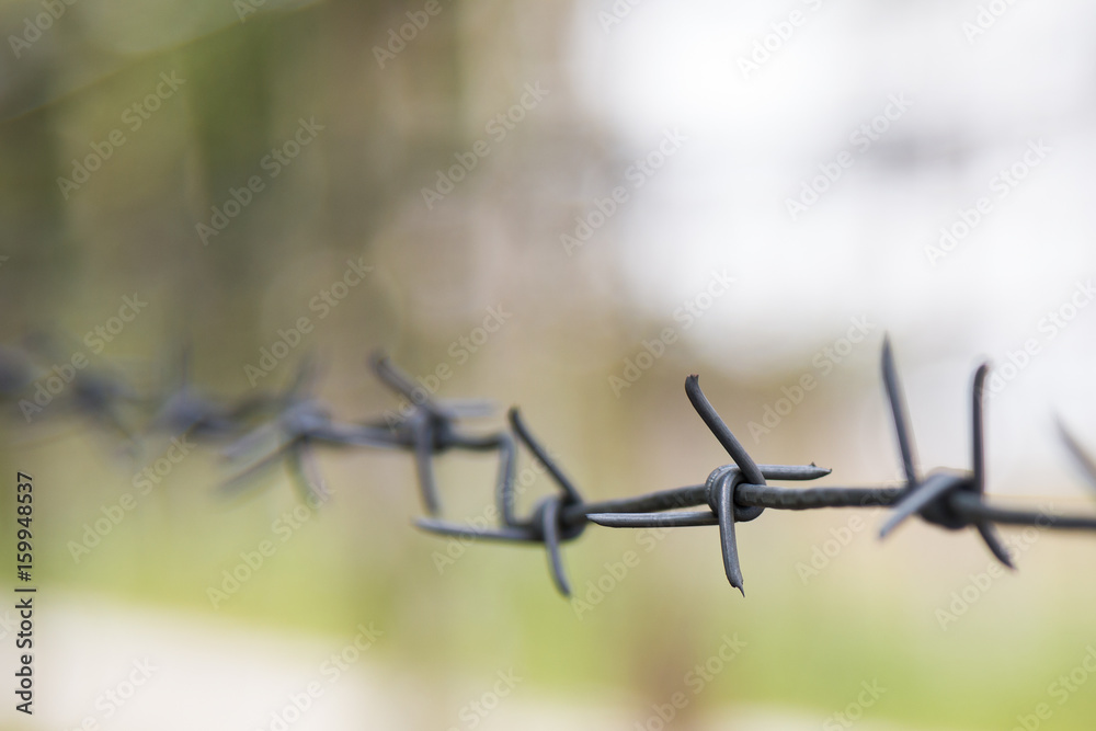 Barbed wire with blur and focus Barbed wire with blur and focus