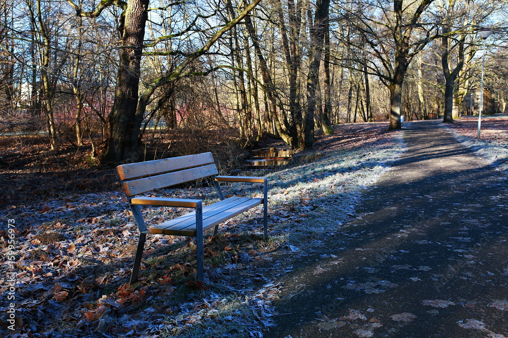 Bench in a parc close to path with trees around