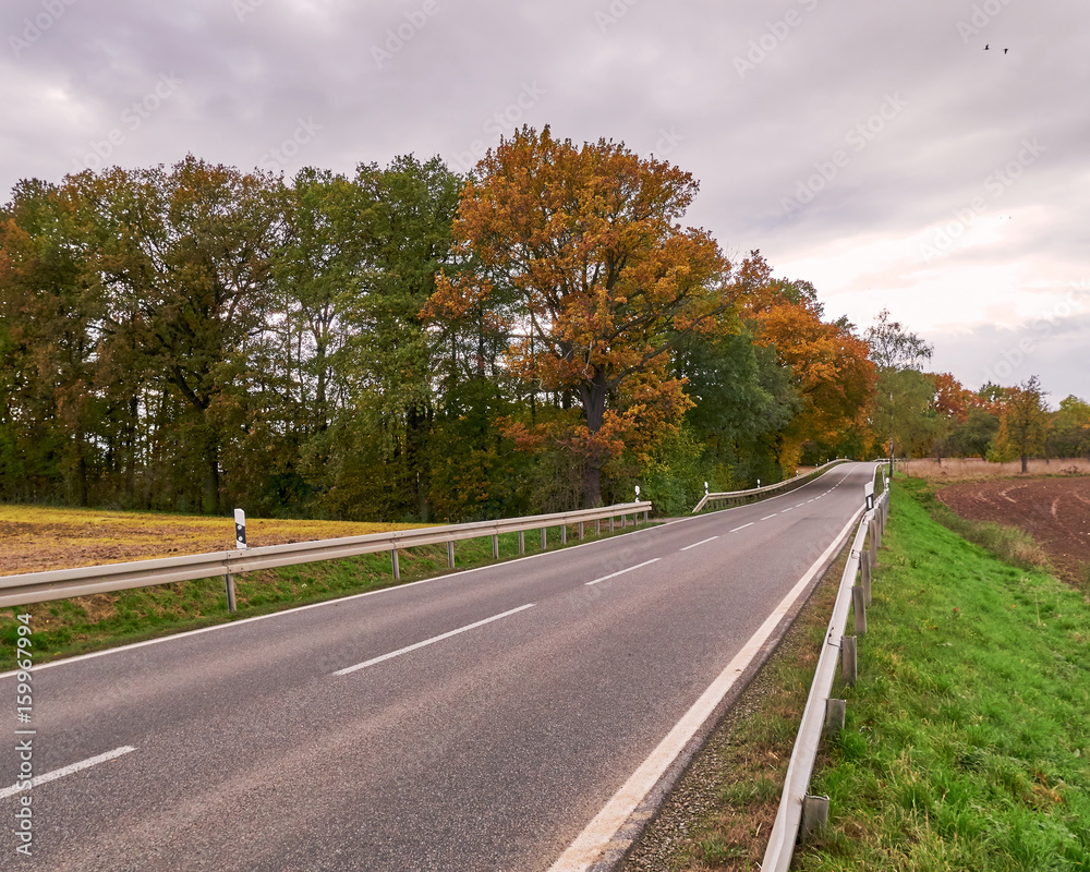 Fototapeta premium rural road under cloudy sky