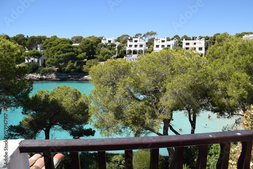 Bäume und Meer in Mallorca