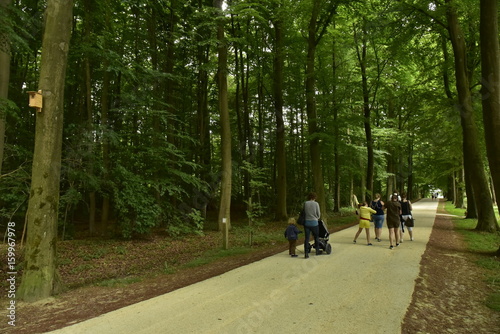 Promenade dans le bois au domaine du château-fort de Gaasbeek près de Bruxelles