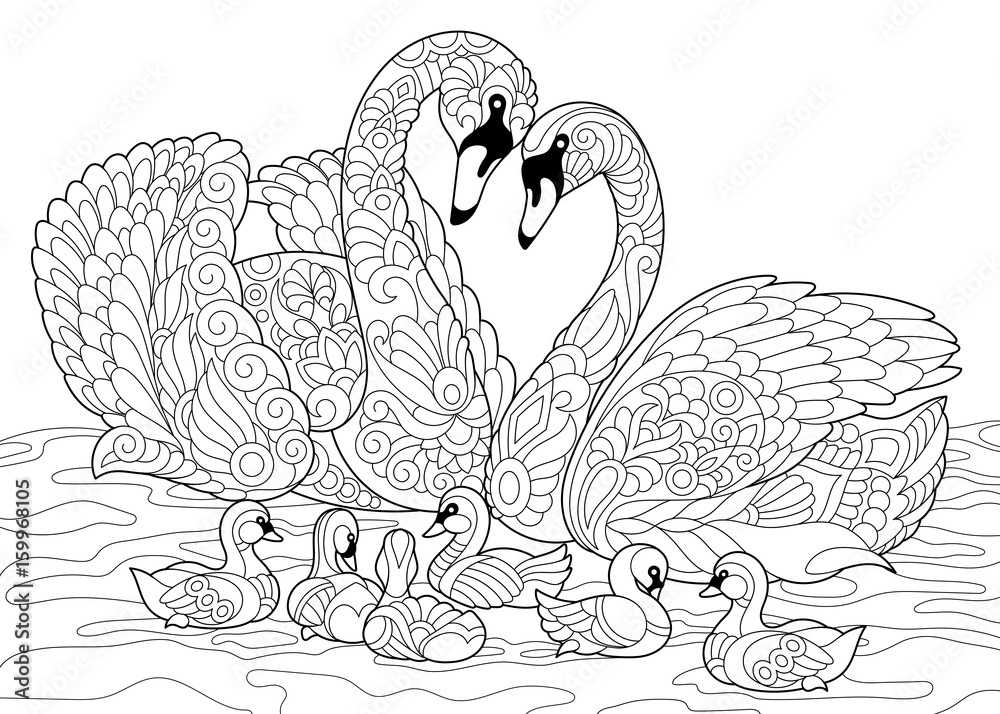 Naklejka premium Coloring book page of swan birds family. Freehand sketch drawing for adult antistress colouring with doodle and zentangle elements.