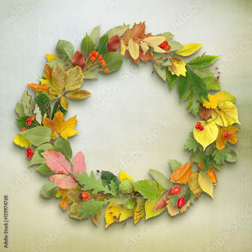 wreath from autumn leaves on green background