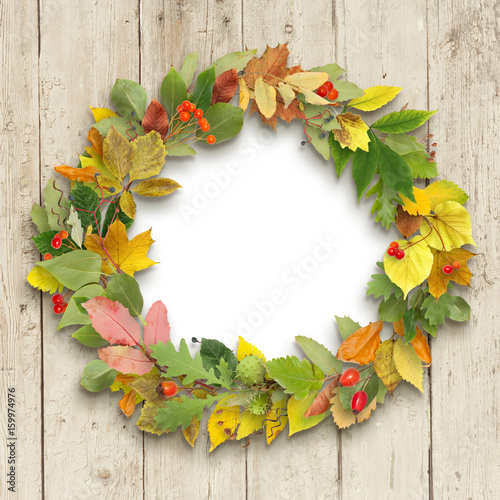 Round frame from autumn leaves on wooden background