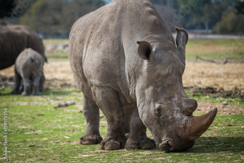 Morning Tour at Safari Ramat Gan © LevT