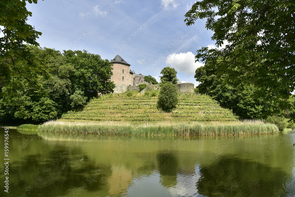 L'un des étangs du domaine avec son champ de vigne et le remarquable château-fort de Gaasbeek , près de Bruxelles 