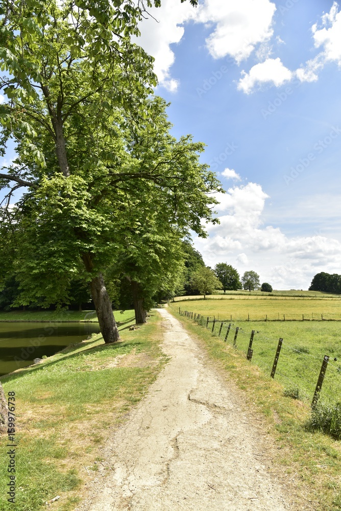 Chemin entre l'un des étangs et les champs au domaine du château de Gaasbeek ,près de Bruxelles Chemin entre l'un des étangs et les champs au domaine du château de Gaasbeek ,près de Bruxelles