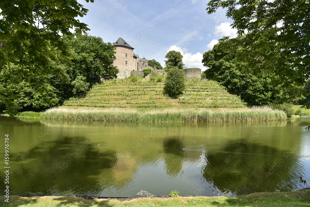 L'étang avec ses reflets contrastants devant le champs de vigne au domaine du château de Gaasbeek ,près de Bruxelles L'étang avec ses reflets contrastants devant le champs de vigne au domaine du château de Gaasbeek ,près de Bruxelles