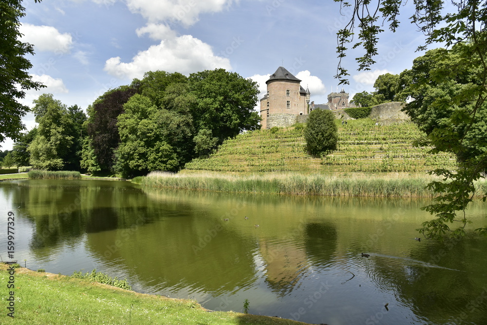Le premier étang du domaine en pleine nature au printemps devant le champ de vigne et le château-fort de Gaasbeek, près de Bruxelles Le premier étang du domaine en pleine nature au printemps devant le champ de vigne et le château-fort de Gaasbeek, près de Bruxelles