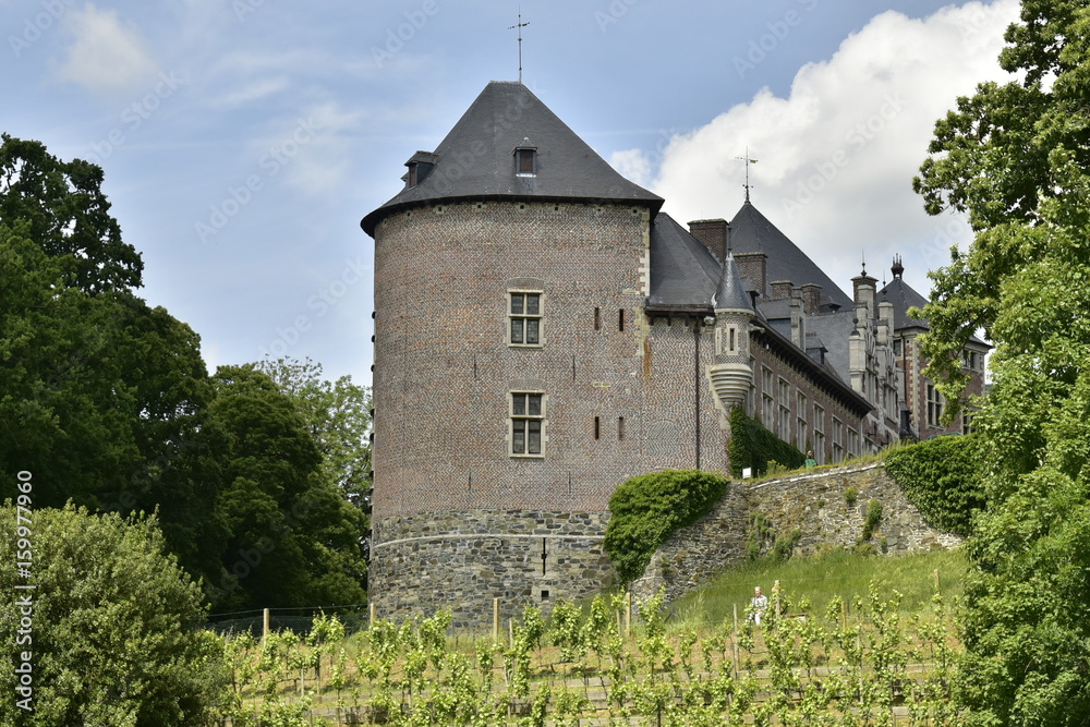 L'extrémité sud du château-fort de Gaasbeek dominant le champs de vigne sur sa butte 