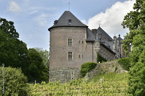 L'extrémité sud du château-fort de Gaasbeek dominant le champs de vigne sur sa butte 
