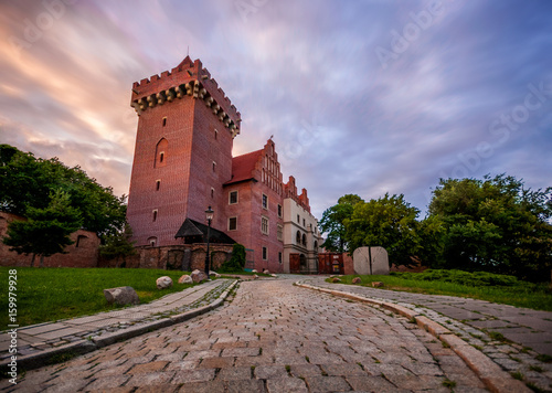 Zamek królewski w Poznaniu na wzgórzu Przemysła © Jakub Kałek