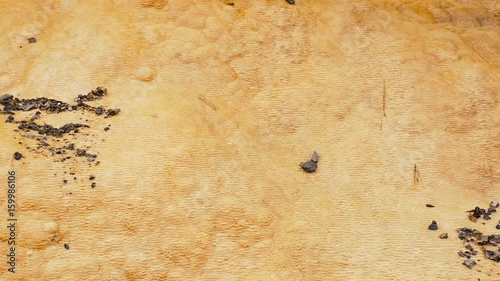 Travertine Terraces. Mineral Water Flows Naturally From a Spring in the Mountains. Beautiful Nature. Mineral Springs Macro.
