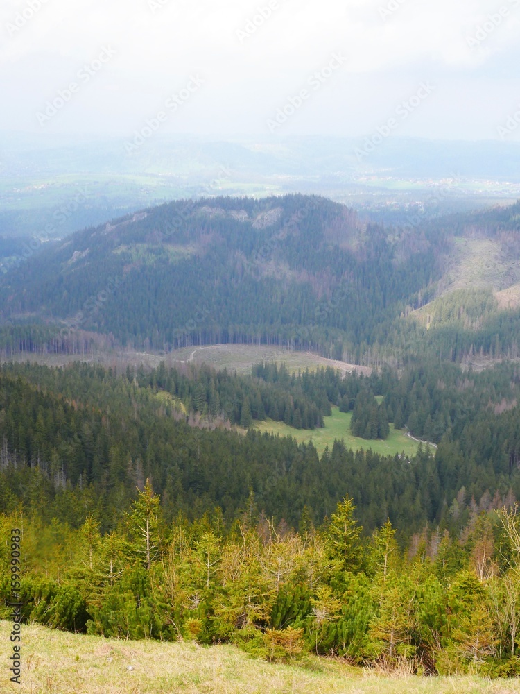 Mountains in the Summer. 