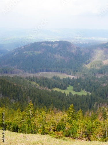 Mountains in the Summer. 