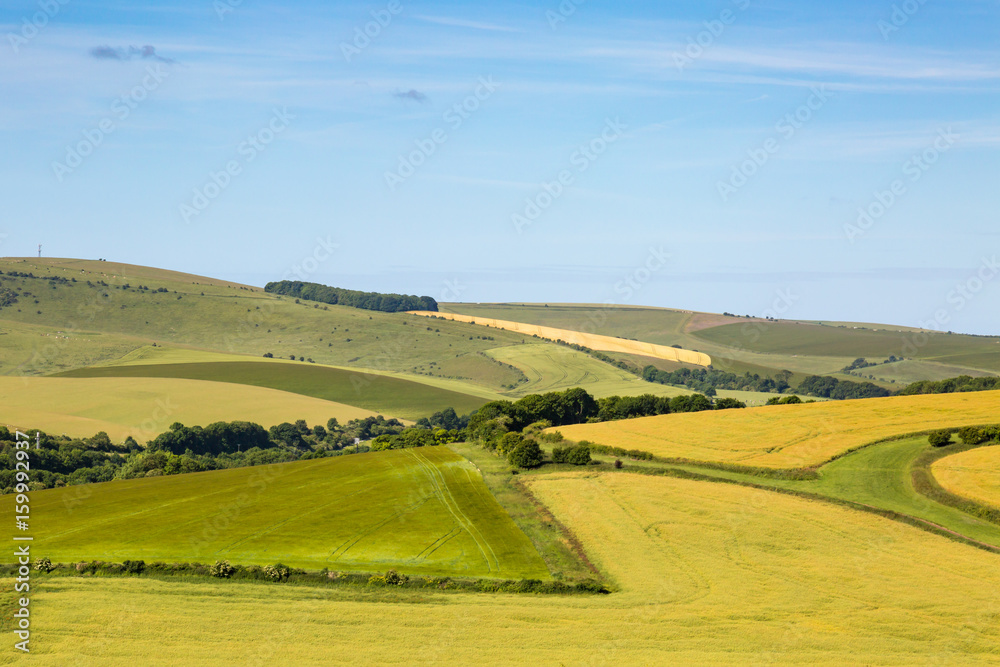 Sussex Patchwork Landscape