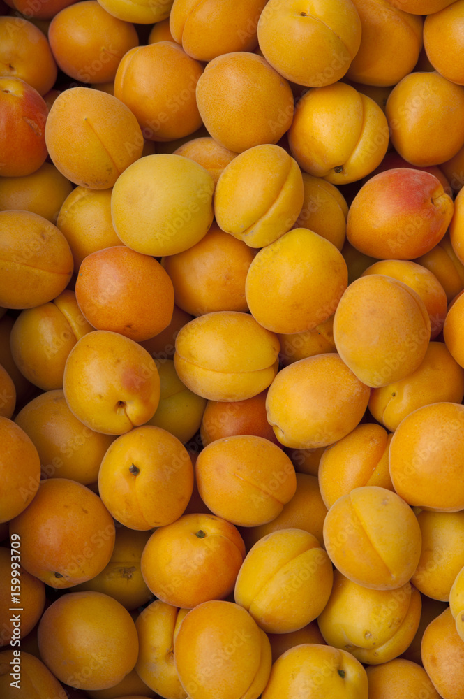 Apricots at Farmers Market
