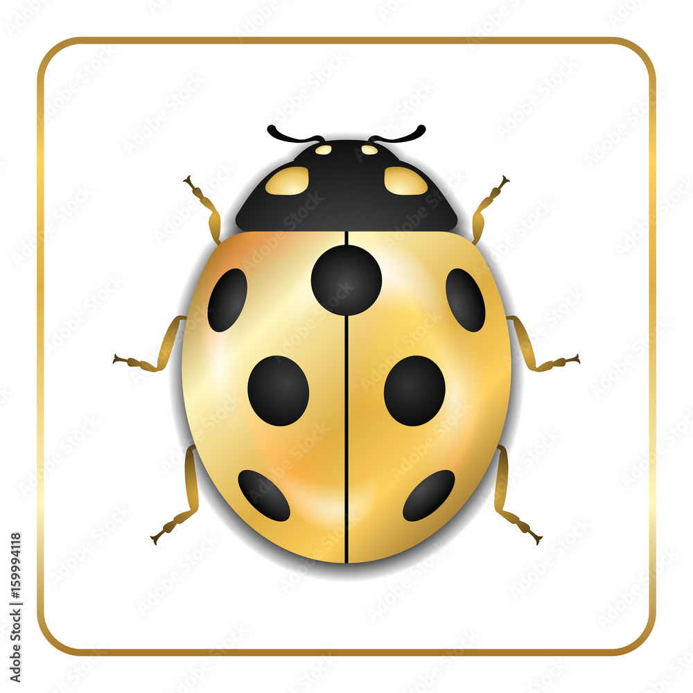 Fototapeta premium Ladybug gold insect small icon. Golden metal lady bug animal sign, isolated on white background. 3d volume bright design. Cute shiny jewelry ladybird. Lady bird closeup beetle. Vector illustration