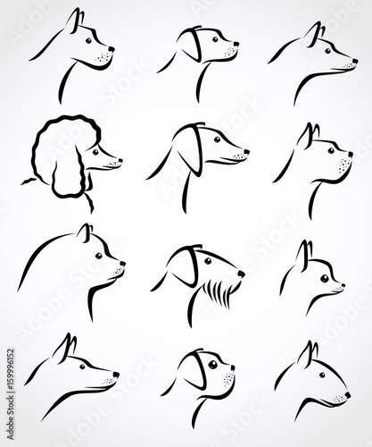Dogs set. Vector