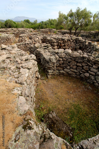 grande villaggio nuragico; sito archeologico di Serra Orrios presso Dorgali (Nuoro, Sardegna) photo