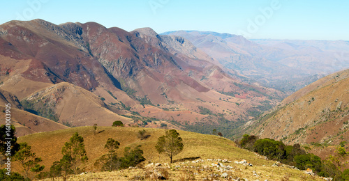 Obraz na płótnie in swaziland    wildlife  nature   reserve