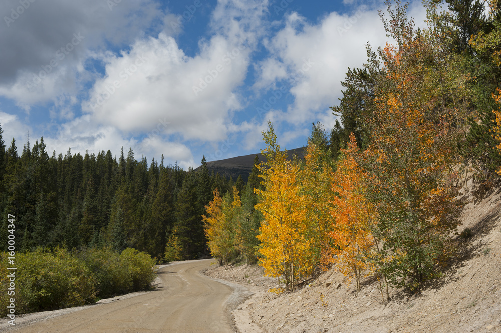 Winding Mountain Road in Fall Winding Mountain Road in Fall
