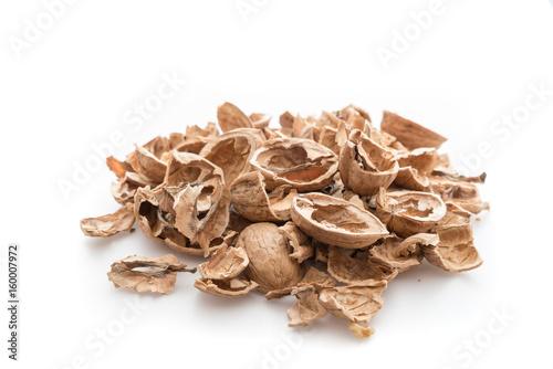 Pile of shells nutshells